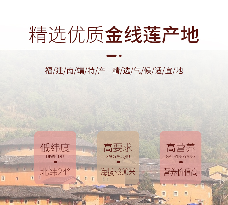 開花<a href=http://m.xindacpa.com/ target='_blank'>金線蓮</a>干品