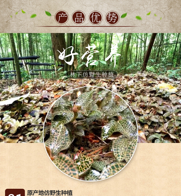 <a href=http://m.xindacpa.com/ target='_blank'>金線蓮</a>干品 20克禮盒裝