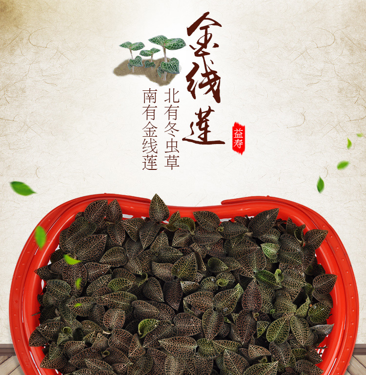 <a href=http://m.xindacpa.com/ target='_blank'>金線蓮</a>鮮品 籃裝